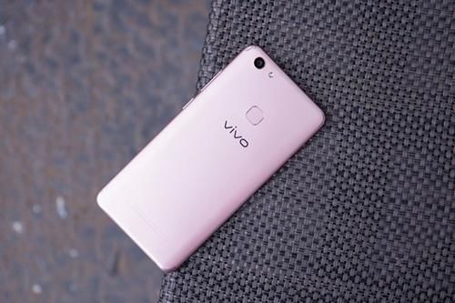 vivo Y79和锤子坚果pro2哪个好?vivoY79和坚果