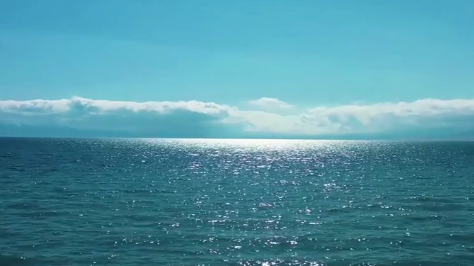 美不胜收！新疆赛里木湖花海环绕