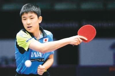 张继科VS张本智和:本是同根生,相逢似仇敌