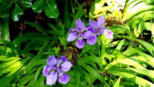 西安城市运动公园一日游(董应赞4月19日摄)