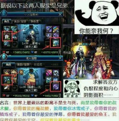 DNF:在阿拉德确认过眼神的两位玩家,他们的装