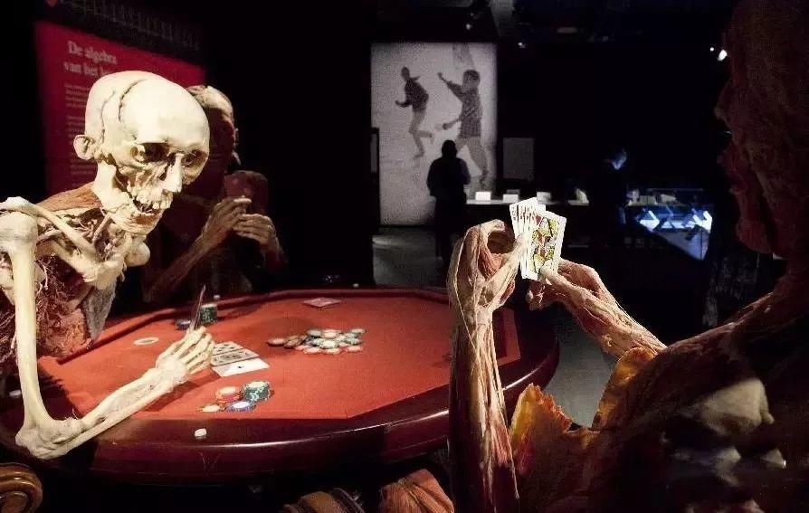 大连尸体加工厂!一位失踪女主播或被制成标本