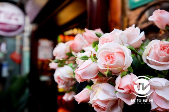 佳能微单M50 一款高颜值微单相机