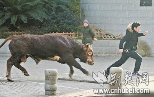 关于首都医科大学附属天坛医院黄牛检查加急代挂号黄牛挂号的信息 关于首都医科大学附属天坛医院黄牛检查加急代挂号黄牛挂号的信息