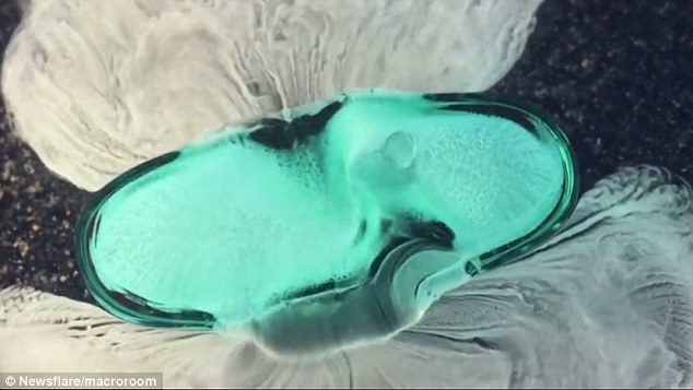 药片在胃里溶解是啥样?微距摄影视频展示细节 药片在胃里溶解是啥样?微距摄影视频展示细节