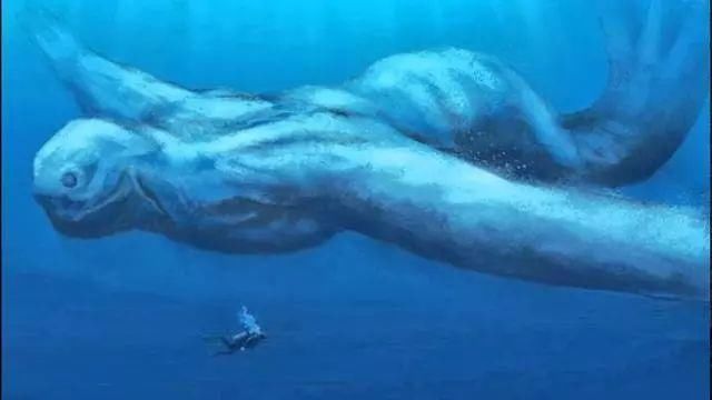 南极现30米高人鱼 神秘!