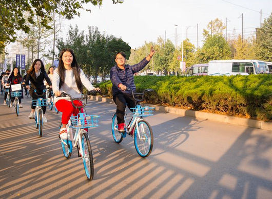哈罗单车亮相郑州街头 大学生免费骑365天