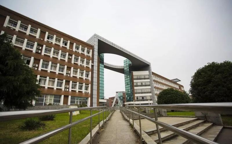 志愿填报究竟要怎样报?重点看专业还是看学校