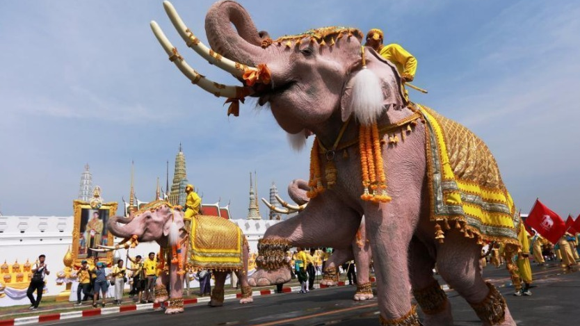 向国王致敬 泰国民众在大皇宫附近举行盛大游行