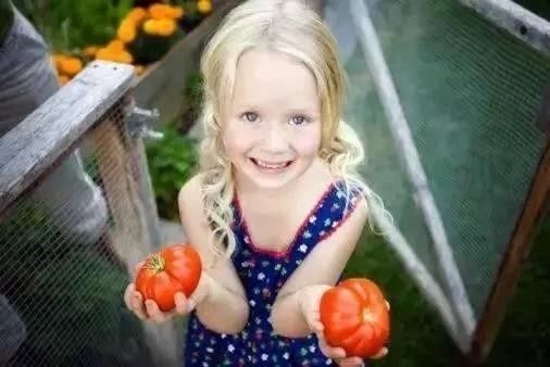 番茄三日减肥法,一周减肥食谱,2天一次,我产后