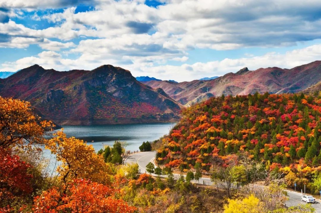 等了一年的门头沟红叶美景!分分钟美翻你的朋友圈