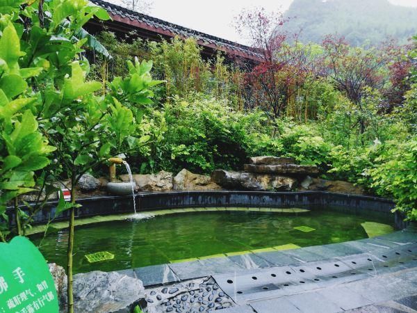 重庆主城--渝湘高速--南川互通--南万高速--金佛山西下道--天星温泉城