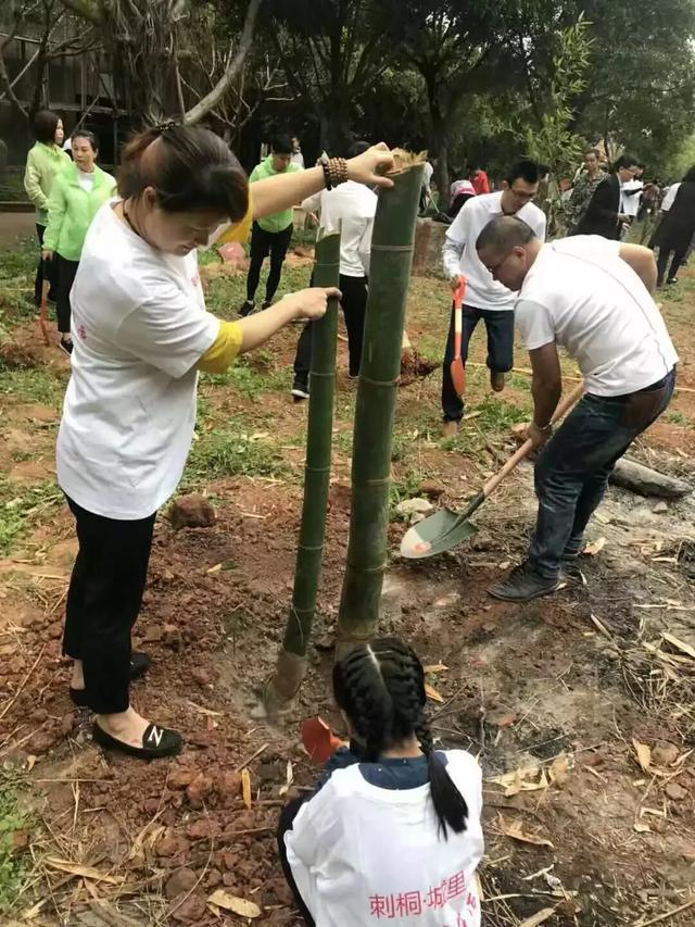公益|刺桐·城里义工团走进泉州少林寺 种下富贵幸运竹