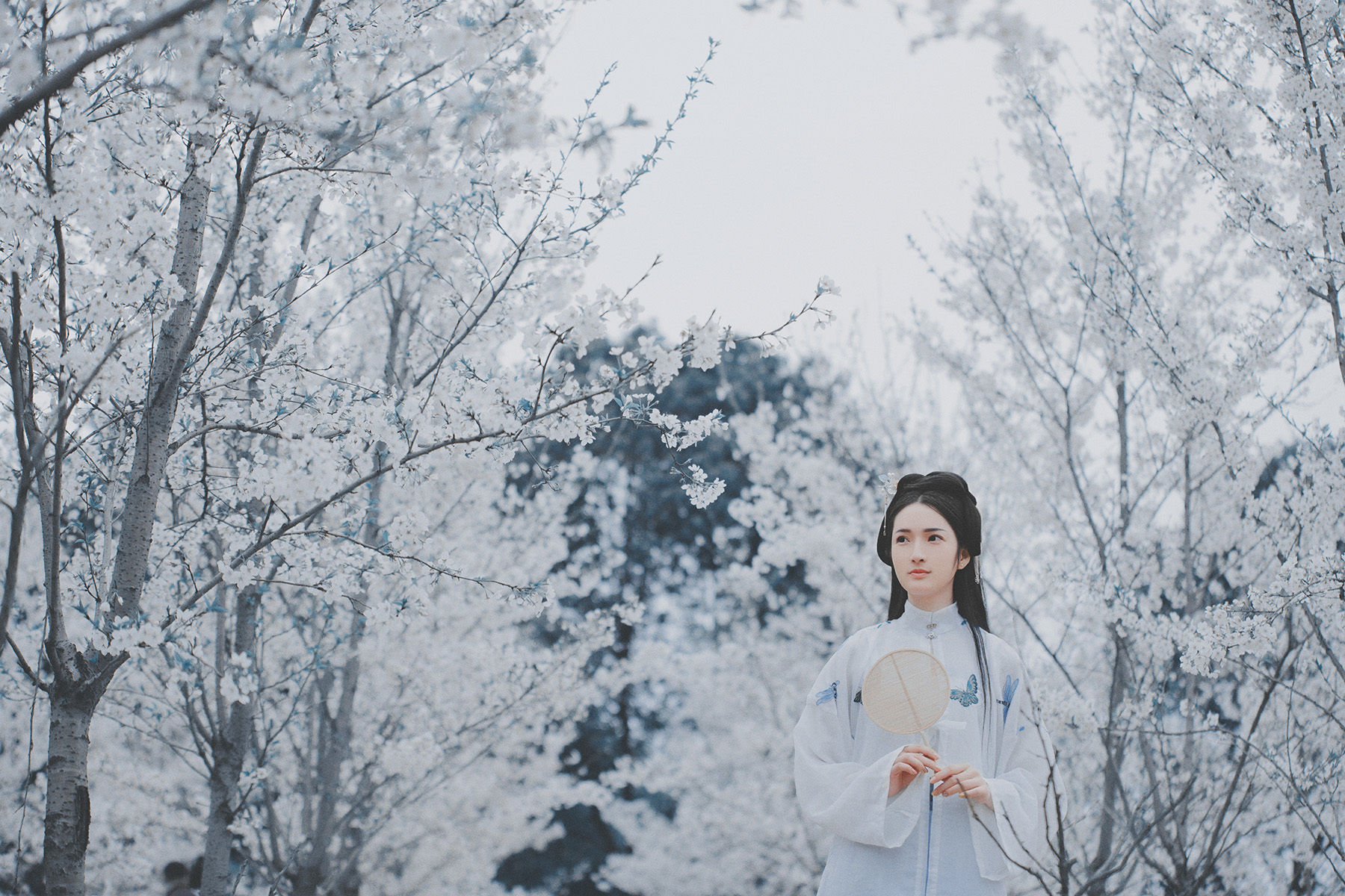 汉服:翠屏金屈曲,醉入花丛宿;此度见花枝,白头誓