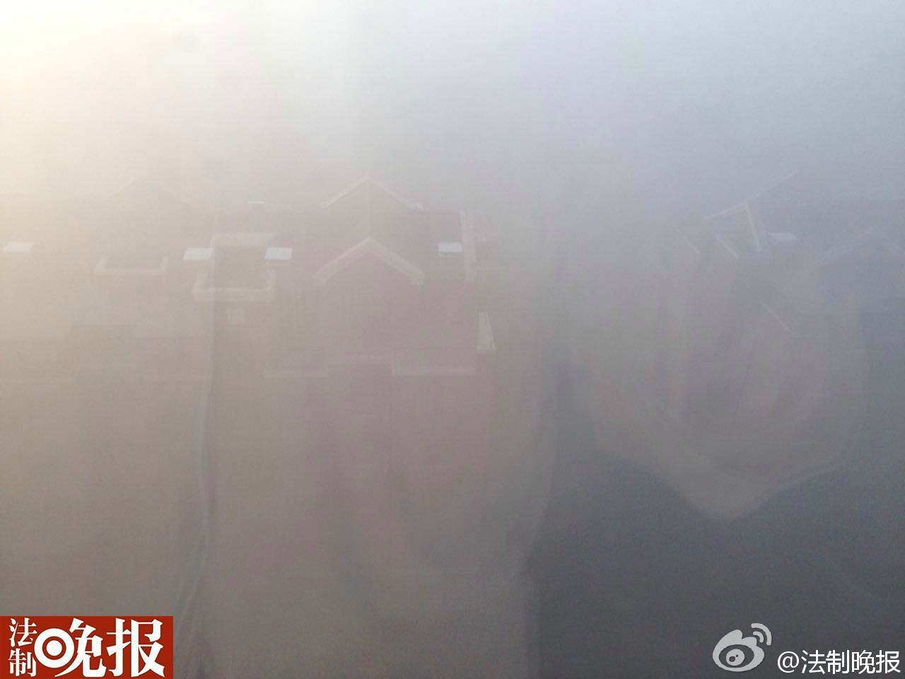 图为网友分享浓雾照片。