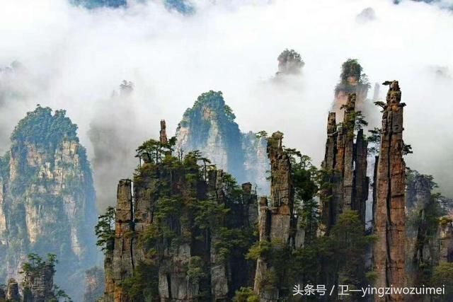 8月去哪旅游最合适?张家界森林公园有哪些精