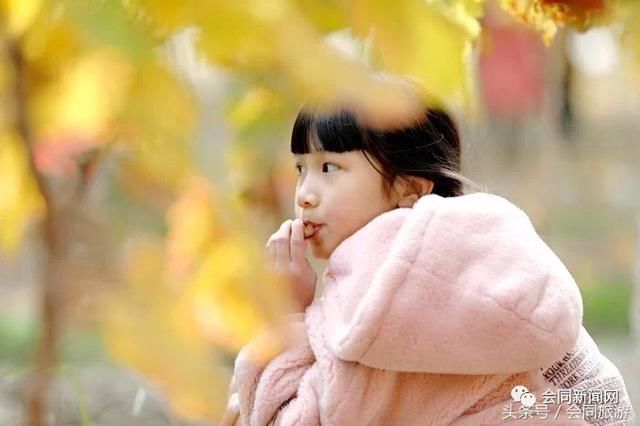 40万粉丝看直播,官舟红提成网红