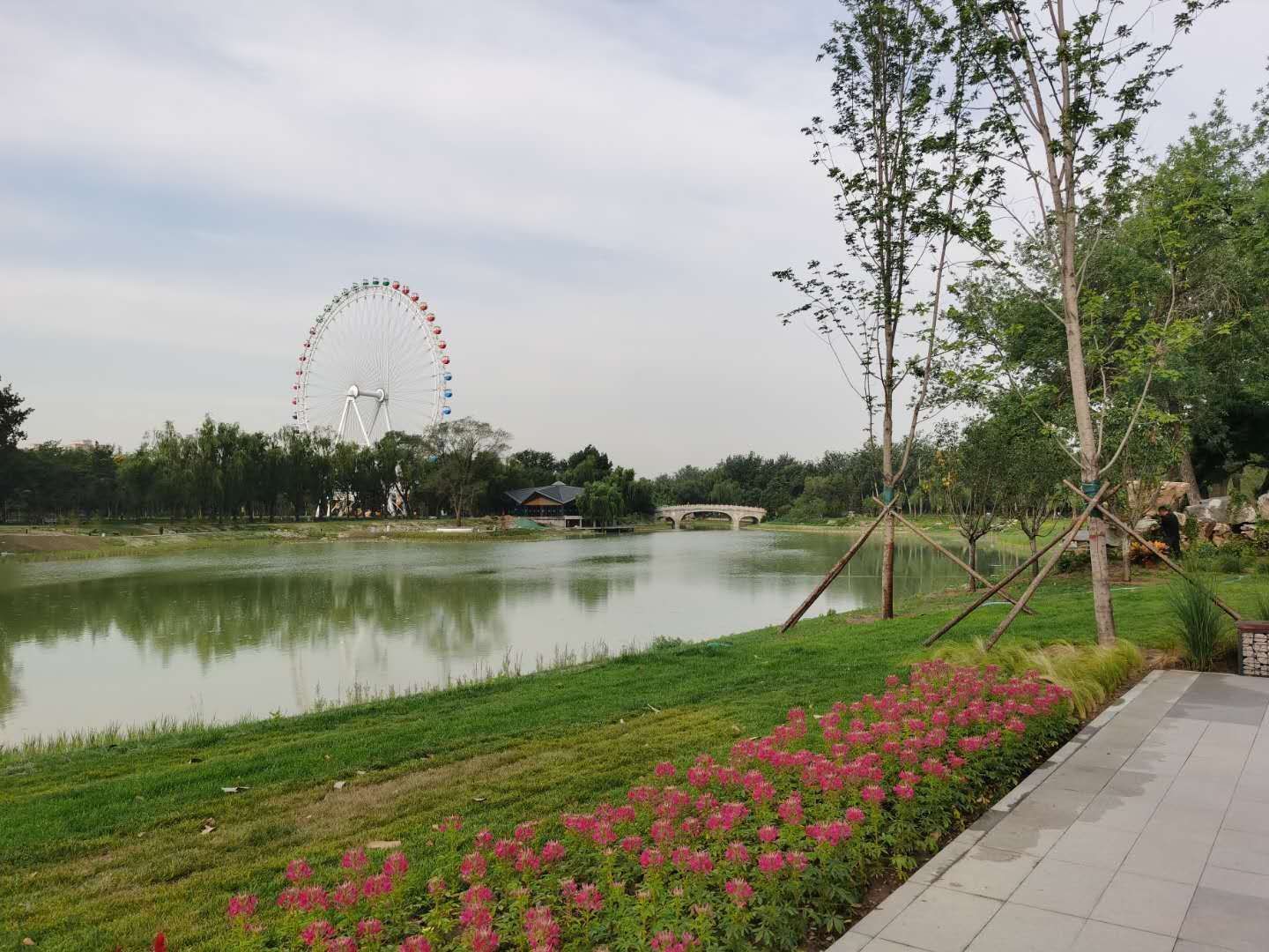 龍潭中湖公園要開園啦!