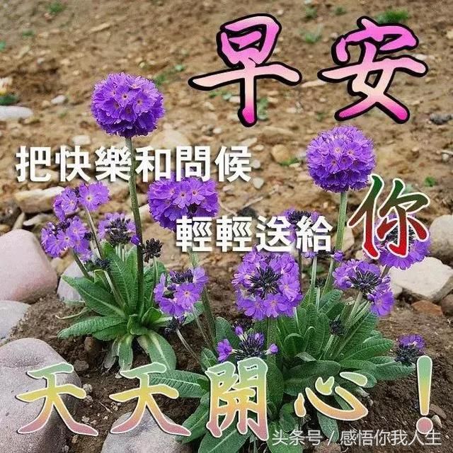 刚出的适合早上发的朋友圈早安图片带字大全,
