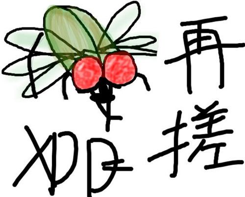 作为网络流行语的该词,苍蝇搓手的含义为形容遇到某种状况让人突然变