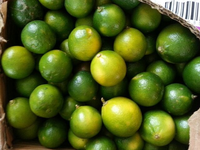 这是山竹橘,很多人都没有听说过吧,这种橘子可是酸得很,一般的人都受