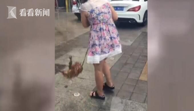 女子当街虐狗表示回家弄死它 丈夫:不听话当然打