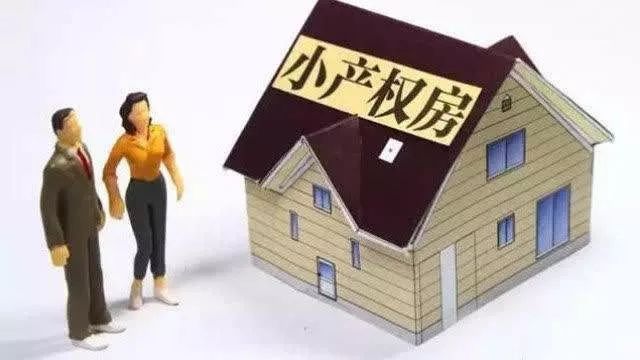 惠东最大售出小产权房被强拆,多少深圳人栽在