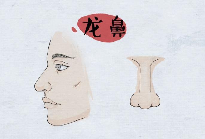 长了这四种鼻子的人,富贵不用愁 长了这四种鼻子的人,富贵不用愁