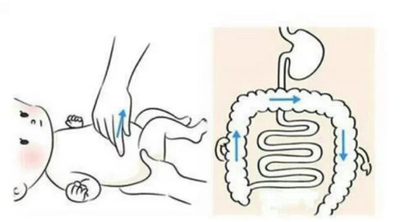 第四步:"l"和"u"字按摩右手掌贴放在宝宝的左腹上方,向下滑动至胯下