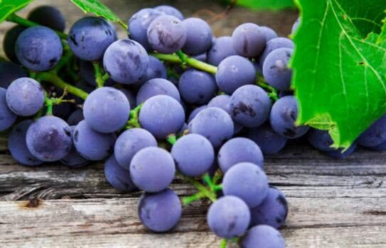 葡萄的正确洗法,简单3步,连皮都可以放心吃,你