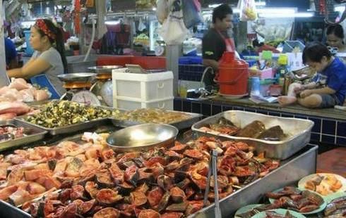 外国游客分别评价中国的三亚和泰国的普吉岛,