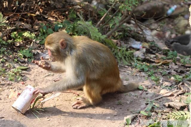 张家界森林公园+天门山三日游最佳游玩线路及
