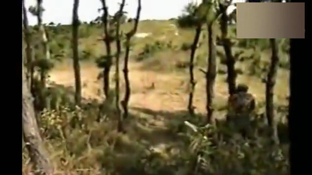 图为日媒拍摄下的画面