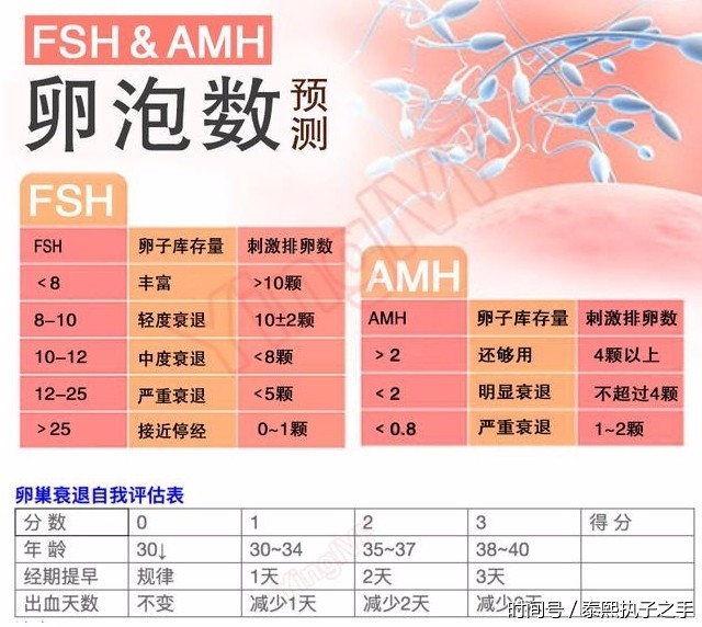 试管婴儿前女性检查激素6项B超和AMH?AMH