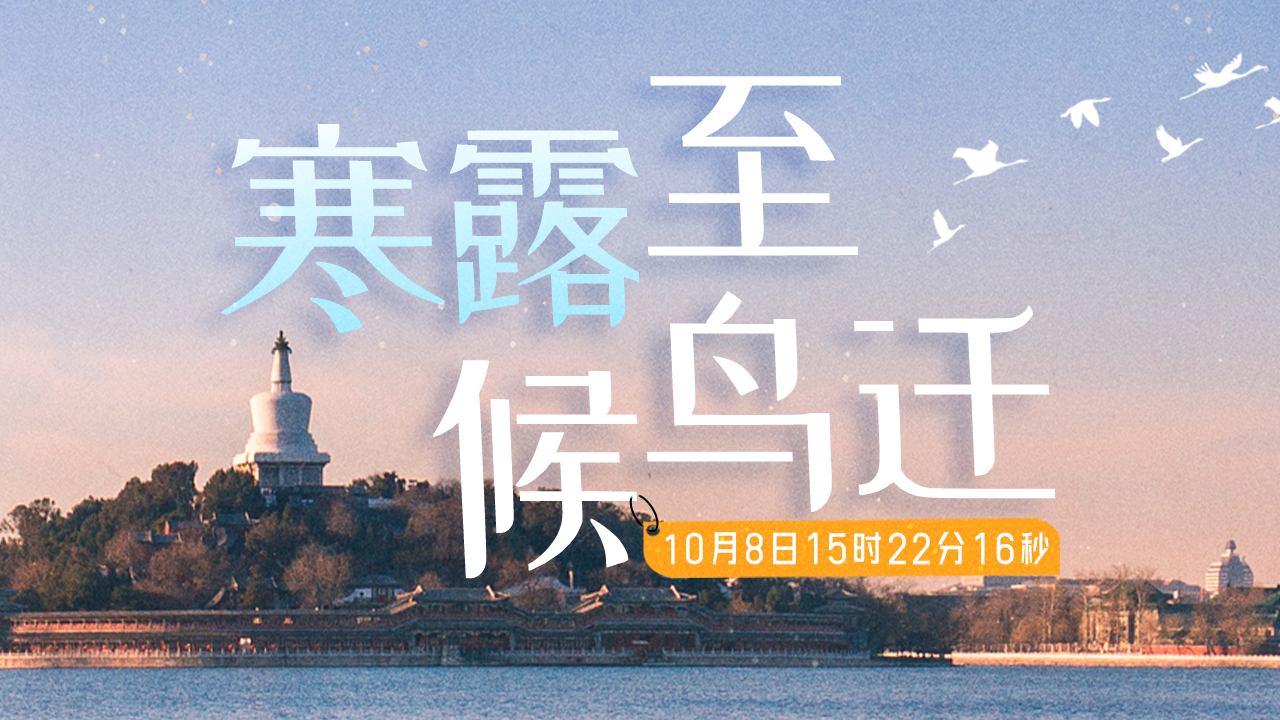 寒露至 候鸟迁 | 大美北京：全球八大候鸟迁徙通道之一！观鸟指南收藏