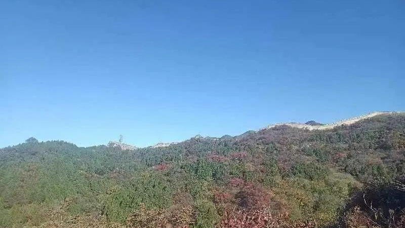 八达岭国家森林公园将于11月1日起闭园 八达岭国家森林公园将于11月1日起闭园