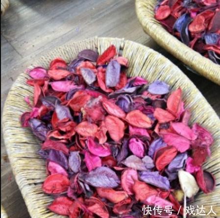 西虹市首富里,沈腾的教练三口一头猪?细数电视