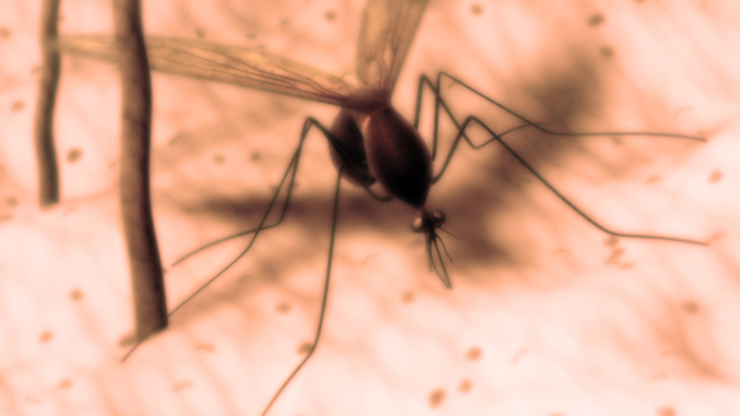 罕见!此地确诊1例,当心这种虫子 罕见!此地确诊1例,当心这种虫子