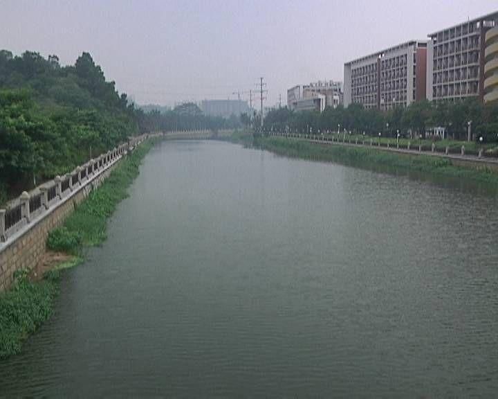 江门今年汛期总雨量较常年偏少 有4至6个台风