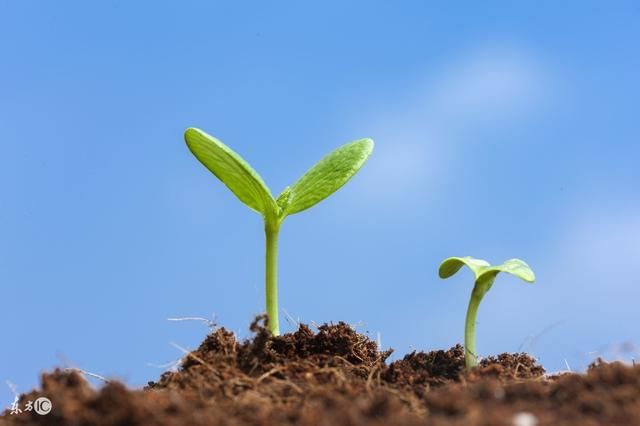 普通人没有一技之长,该怎么实现逆袭,月入100