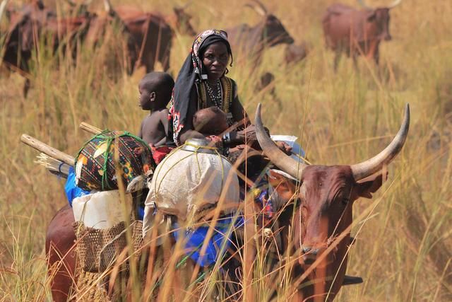 该国曾嫌弃中国游客,提高签证条件限制中国游