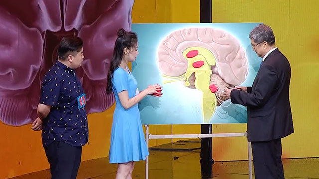 《养生堂》20180721揪出偷吃大脑的坏蛋 《养生堂》20180721揪出偷吃大脑的坏蛋