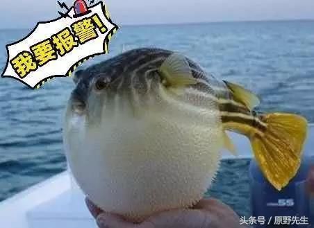 究竟哪些是公摊面积?高层和多层洋房差距多大