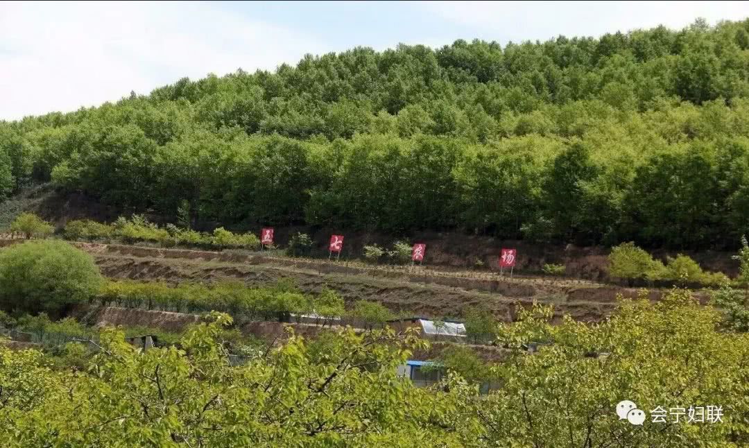 会宁县美丽庭院示范户:党岘村董军家庭!