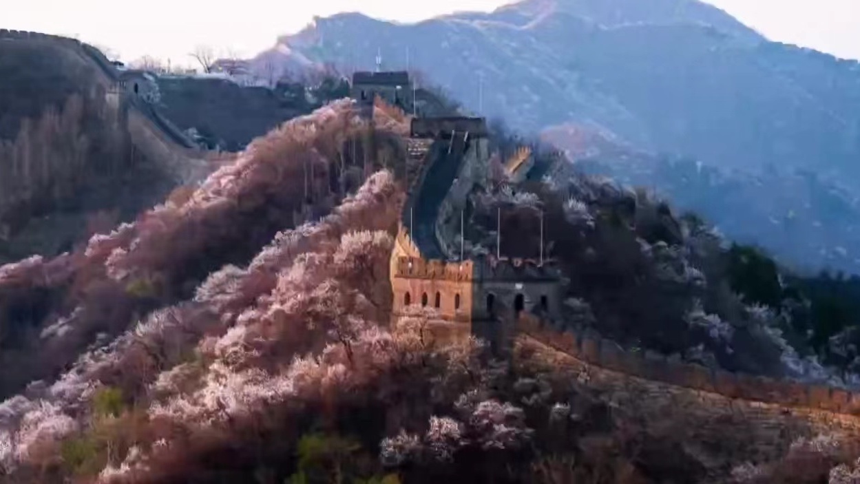 游玩攻略:长城内外春花烂漫 慕田峪山花节赏花路线推荐来了...... 游玩攻略:长城内外春花烂漫 慕田峪山花节赏花路线推荐来了......