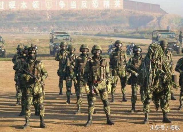 我们还有一支神秘部队?龙焱特种部队,被外军称