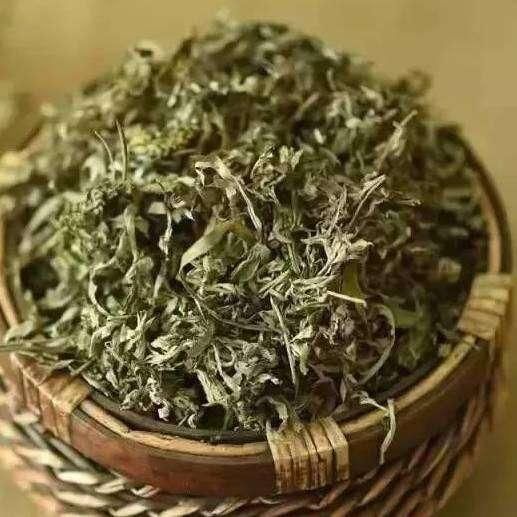 艾叶是个好东西,用它泡脚,三天逼出体内湿气,不