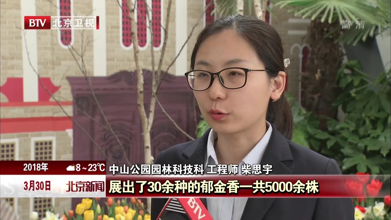 北京：中山公园展出珍品“国泰”郁金香