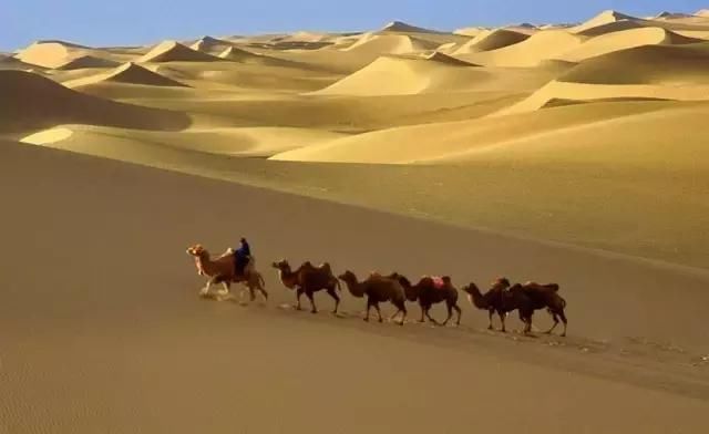 PS如何用内容识别增高,去水印,简单图片处理不