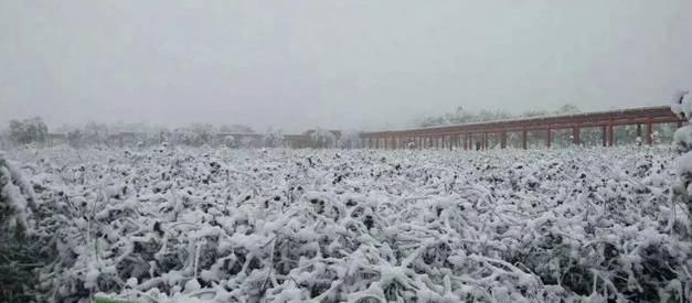 夏官营大学,中国最野的985大学